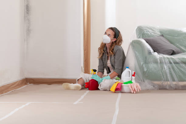 Reliable Mold Cleanup contractor in Thurmont, MD by WQB Mold Removal